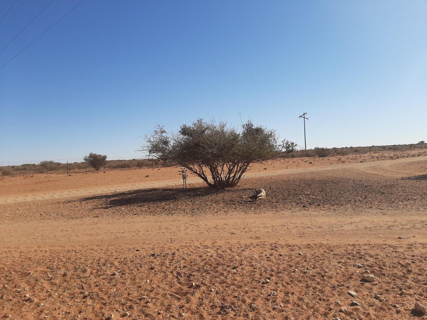 Kalahari Monate Lodge, Desert, Nature, Sand, Lowland