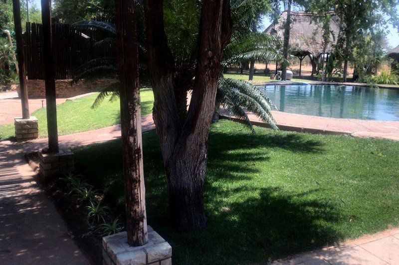 Kalahari Sands Lodge Tosca North West Province South Africa Palm Tree, Plant, Nature, Wood