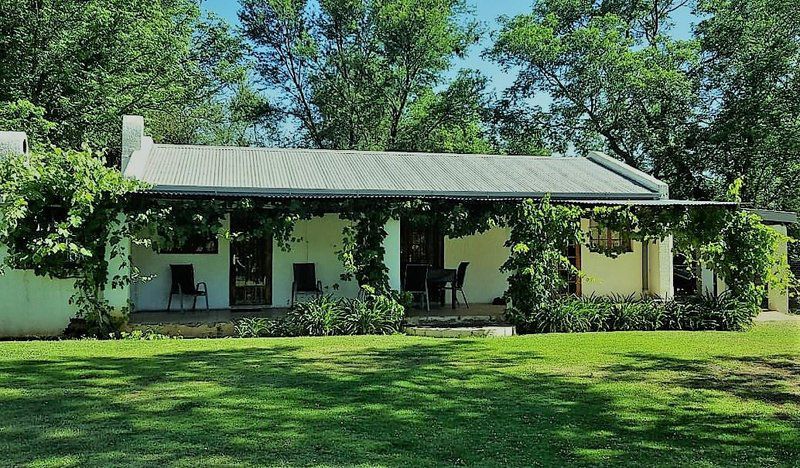 Kalahari Hide Kuruman Northern Cape South Africa 