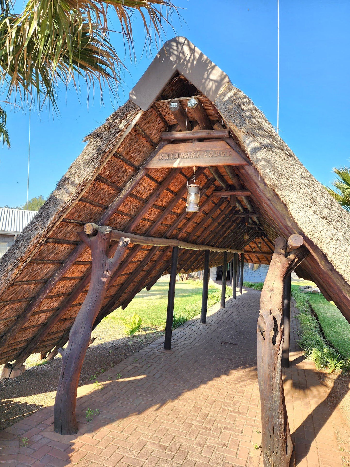 Kalahari Lodge Kimberley Northern Cape South Africa Complementary Colors, Palm Tree, Plant, Nature, Wood