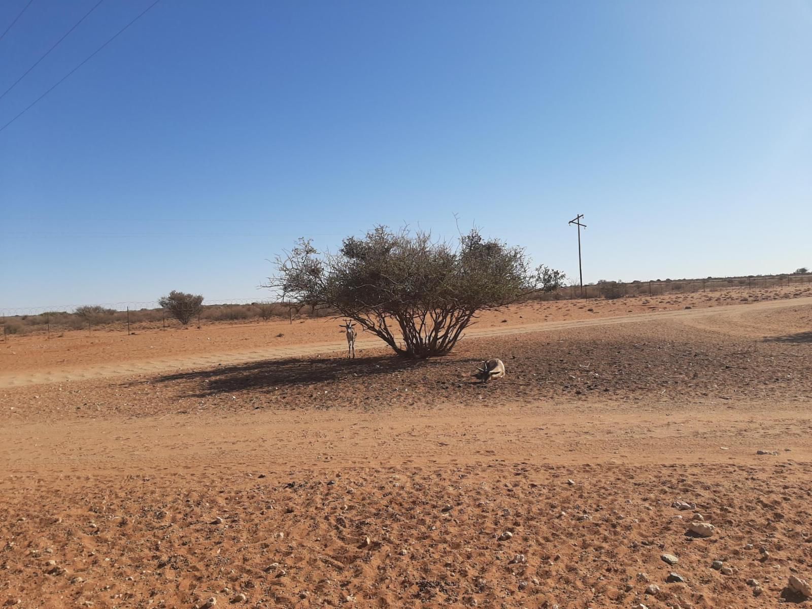 Kalahari Monate Lodge And Camping Upington Northern Cape South Africa Complementary Colors, Desert, Nature, Sand, Lowland