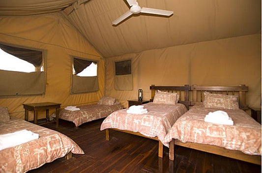 Kalahari Tent Camp Kgalagadi Transfrontier Park Sanparks Kgalagadi National Park Northern Cape South Africa Colorful, Tent, Architecture, Bedroom