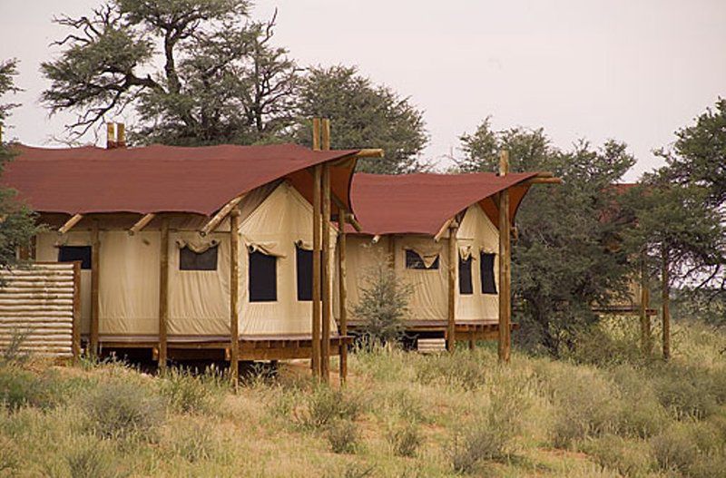 Kalahari Tent Camp Kgalagadi Transfrontier Park Sanparks Kgalagadi National Park Northern Cape South Africa 