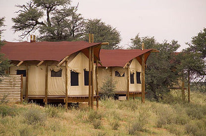 Kalahari Tent Camp Kgalagadi Transfrontier Park Sanparks Kgalagadi National Park Northern Cape South Africa 