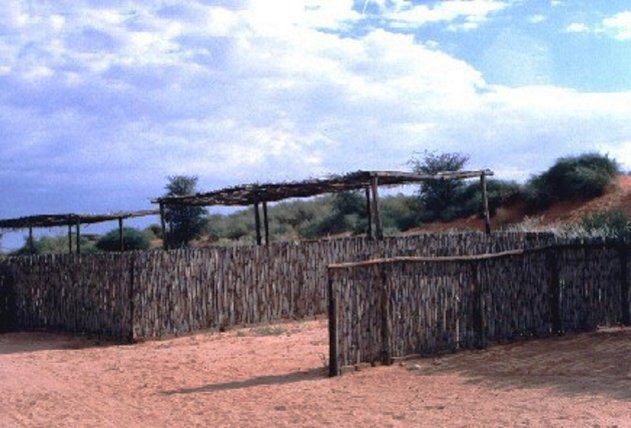 Kalahari Trails Askham Northern Cape South Africa Complementary Colors