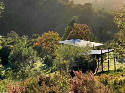 Kalanderkloof Cottage, Tree, Plant, Nature, Wood