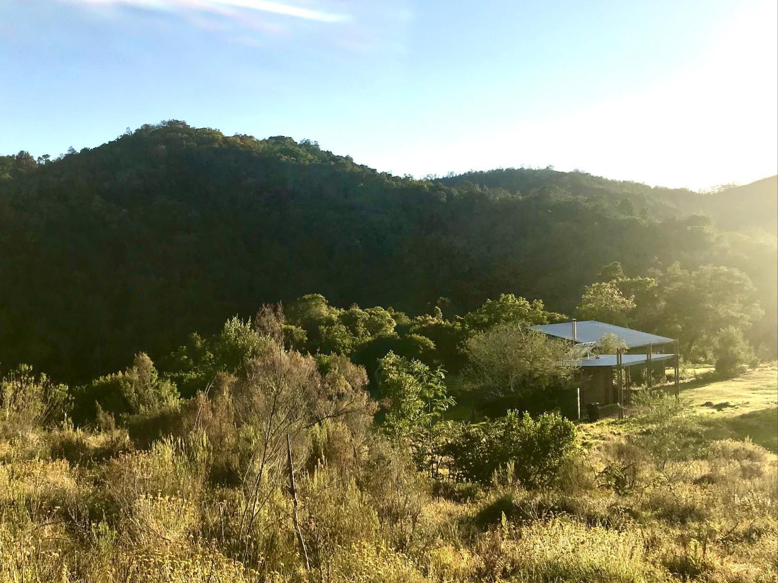 Kalanderkloof Cottage, Tree, Plant, Nature, Wood