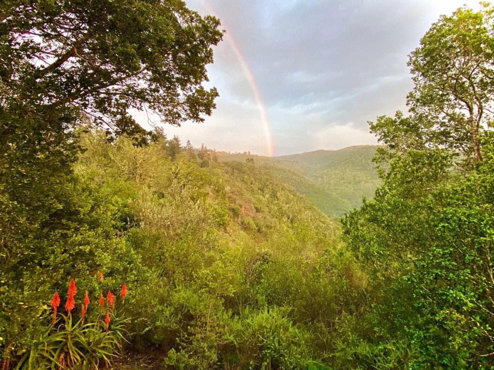 Kalanderkloof Cottage, Rainbow, Nature, Tree, Plant, Wood, Highland