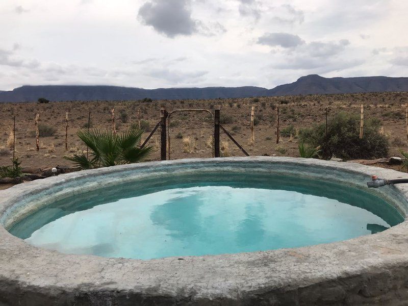 Kalkfontein Gaste Plaas Beaufort West Western Cape South Africa Cactus, Plant, Nature, Desert, Sand, Swimming Pool