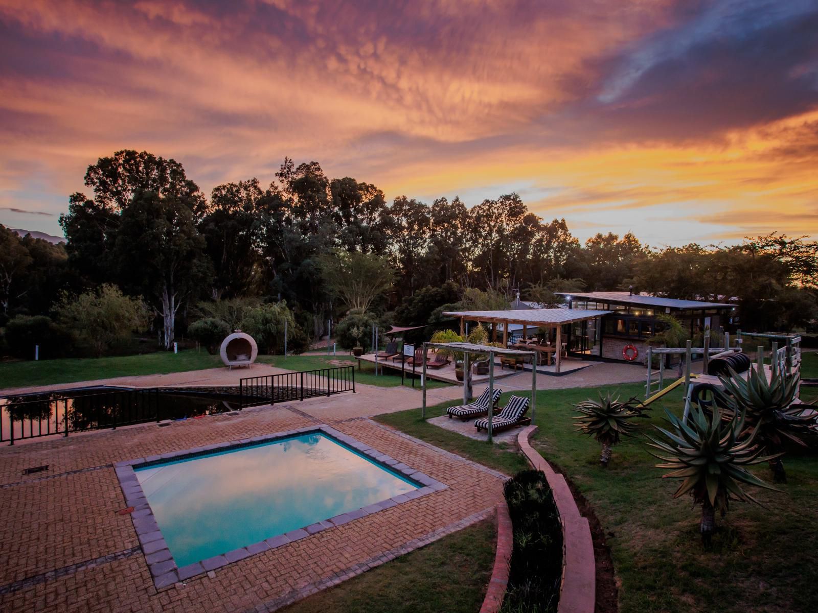 Kam Bati River Resort Swellendam Western Cape South Africa Palm Tree, Plant, Nature, Wood, Swimming Pool