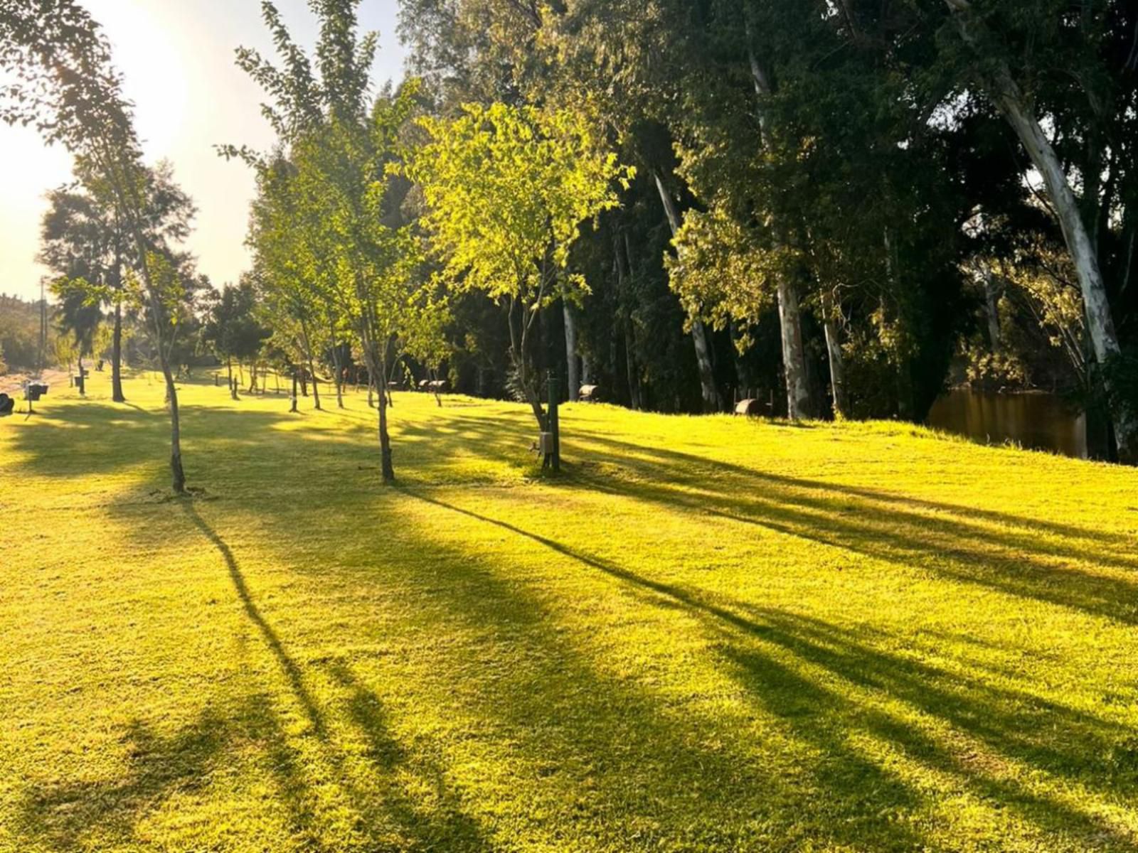 Kam Bati River Resort Swellendam Western Cape South Africa Plant, Nature, Tree, Wood