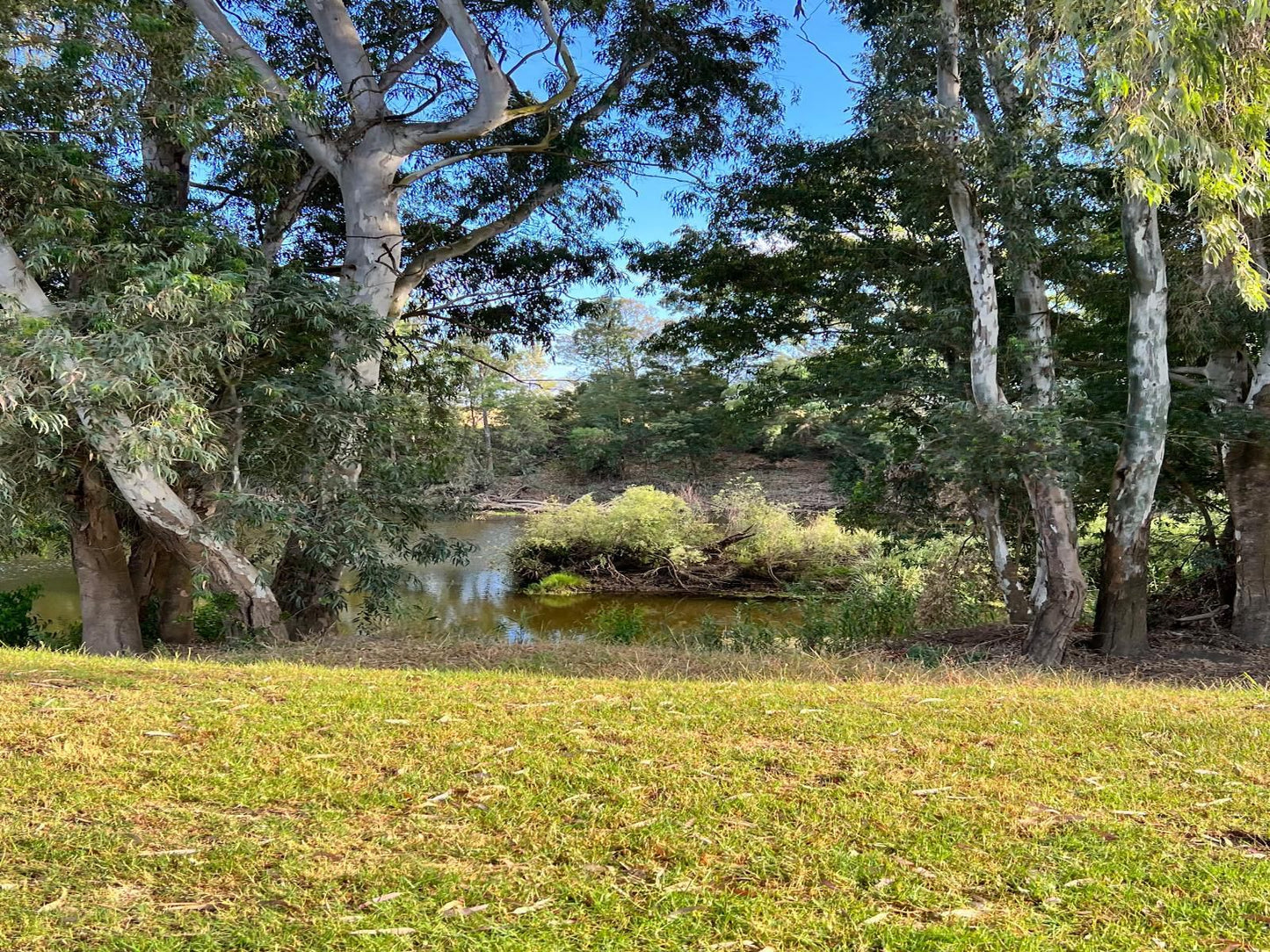 Kam Bati River Resort Swellendam Western Cape South Africa River, Nature, Waters, Tree, Plant, Wood