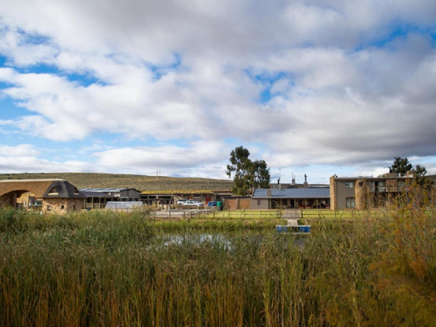 Kamagu Safari Lodge Touws River Western Cape South Africa Complementary Colors