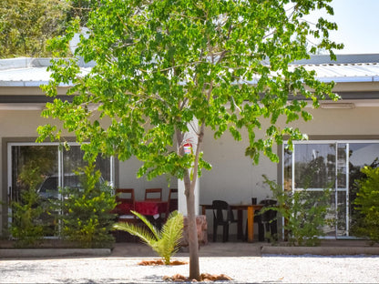 Kamaku Guesthouse, Standard Room, House, Building, Architecture, Palm Tree, Plant, Nature, Wood