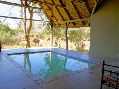 Kambaku River Sands Timbavati Reserve Mpumalanga South Africa Complementary Colors, Swimming Pool