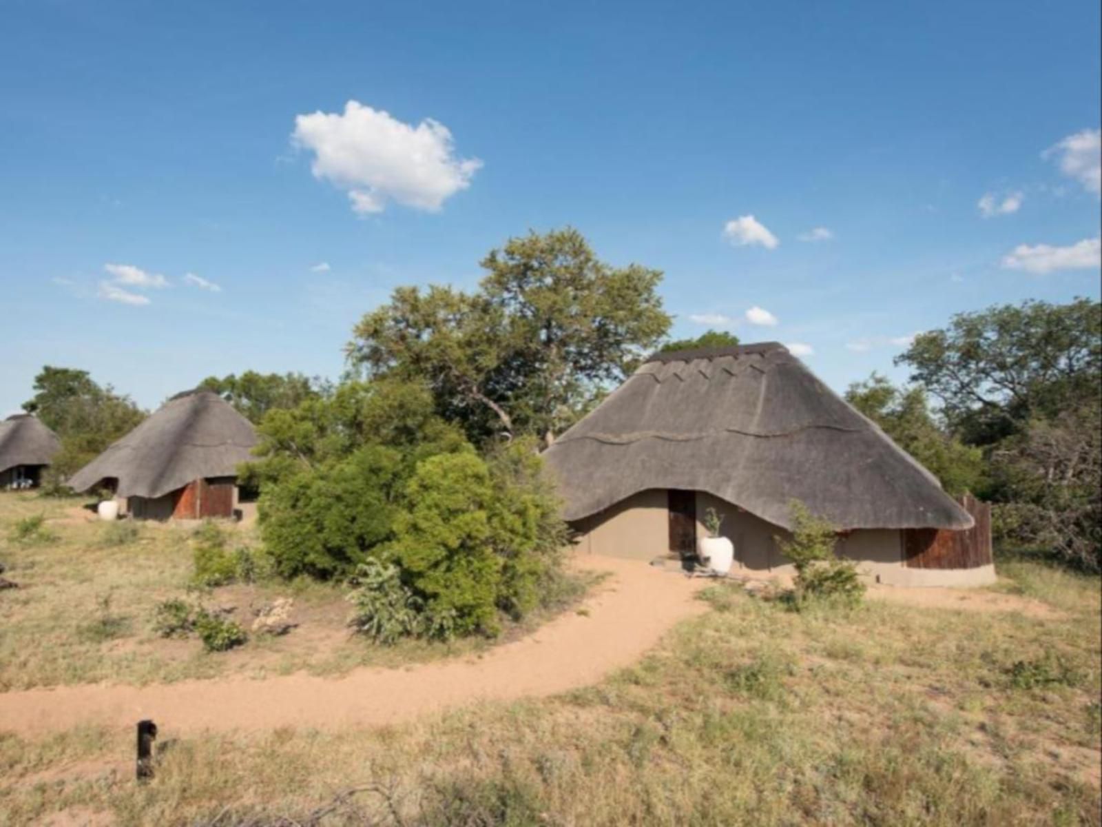 Kambaku River Sands Timbavati Reserve Mpumalanga South Africa Complementary Colors, Building, Architecture