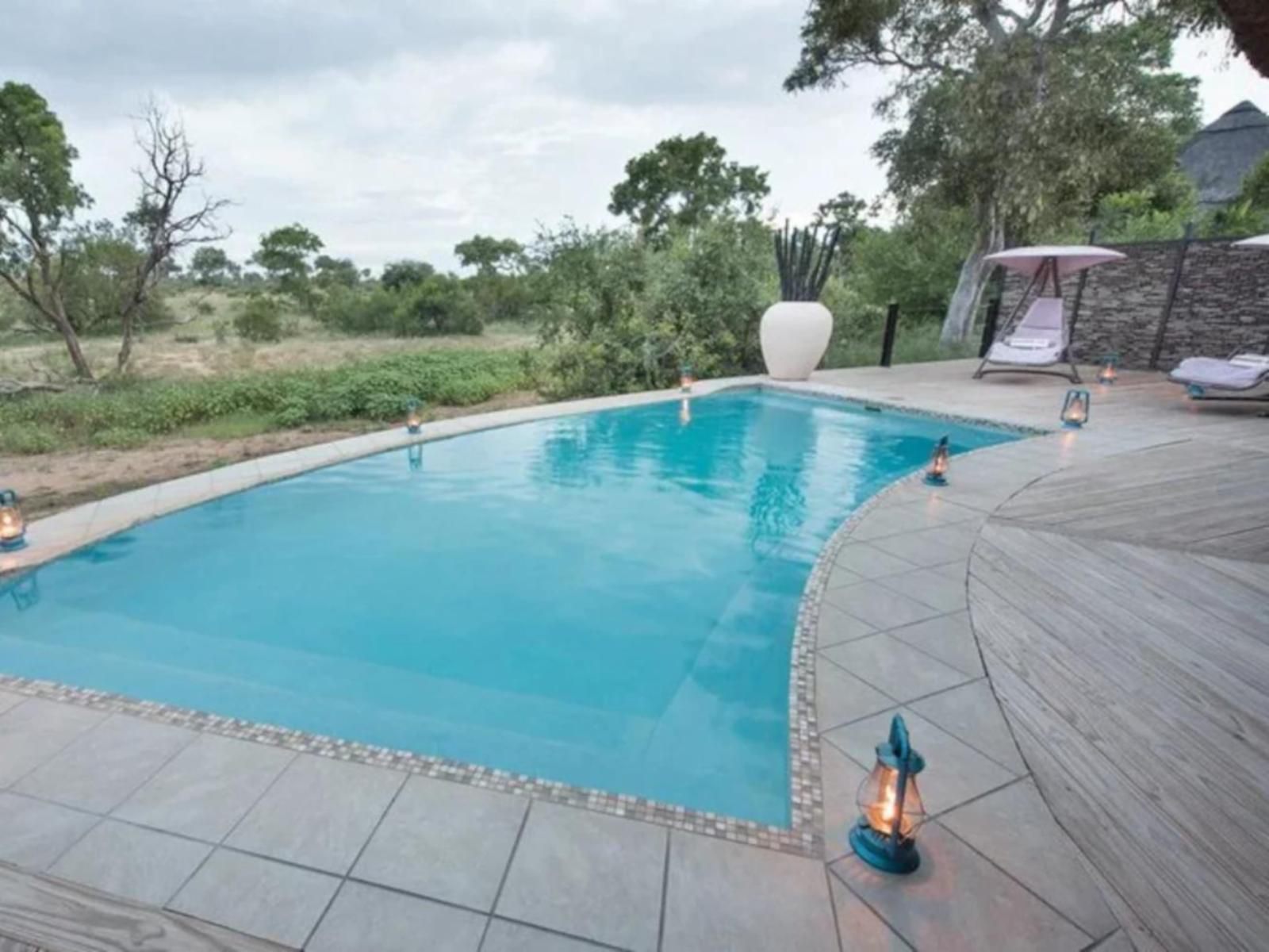 Kambaku River Sands Timbavati Reserve Mpumalanga South Africa Swimming Pool