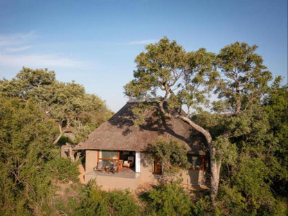 Kambaku River Sands Timbavati Reserve Mpumalanga South Africa Complementary Colors