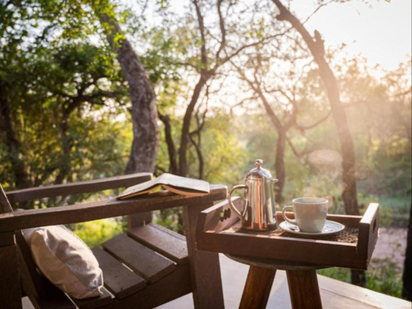 Kambaku River Sands Timbavati Reserve Mpumalanga South Africa Cup, Drinking Accessoire, Drink