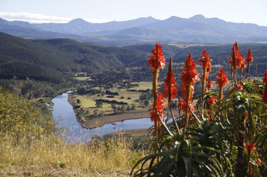 Kambaku Sea Sedgefield Western Cape South Africa Mountain, Nature, Highland