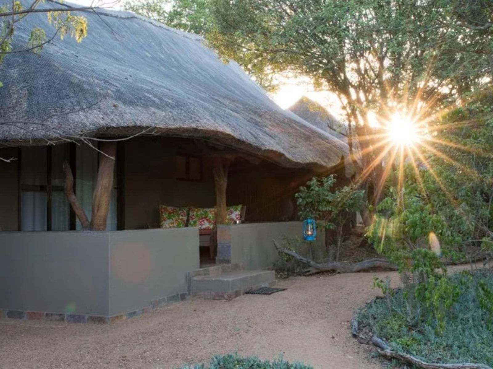 Kambaku Safari Lodge Timbavati Timbavati Reserve Mpumalanga South Africa 