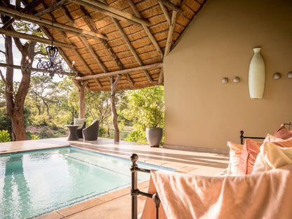 Kambaku Safari Lodge Timbavati Timbavati Reserve Mpumalanga South Africa Swimming Pool