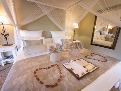 Room 6 - King - Excludes Levies @ Kambaku Safari Lodge Timbavati