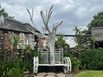 Kameelboom Lodge Vryburg North West Province South Africa 