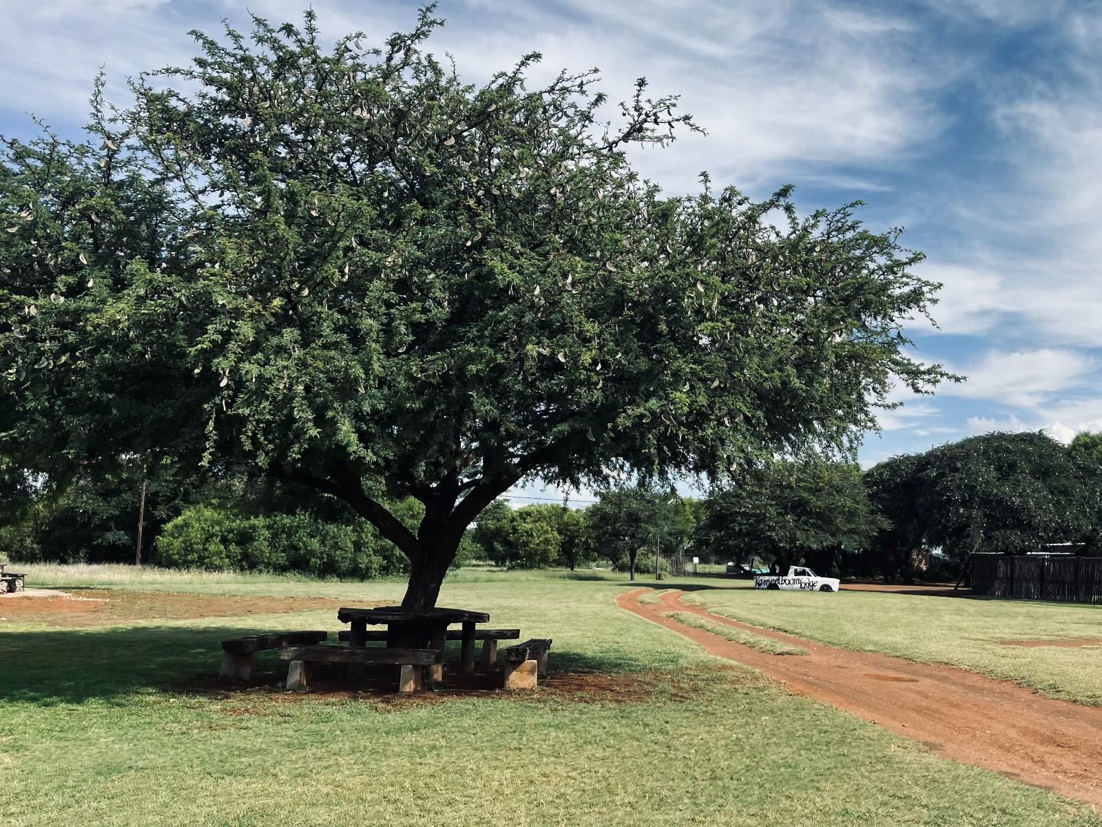 Kameelboom Lodge Vryburg North West Province South Africa Plant, Nature, Tree, Wood