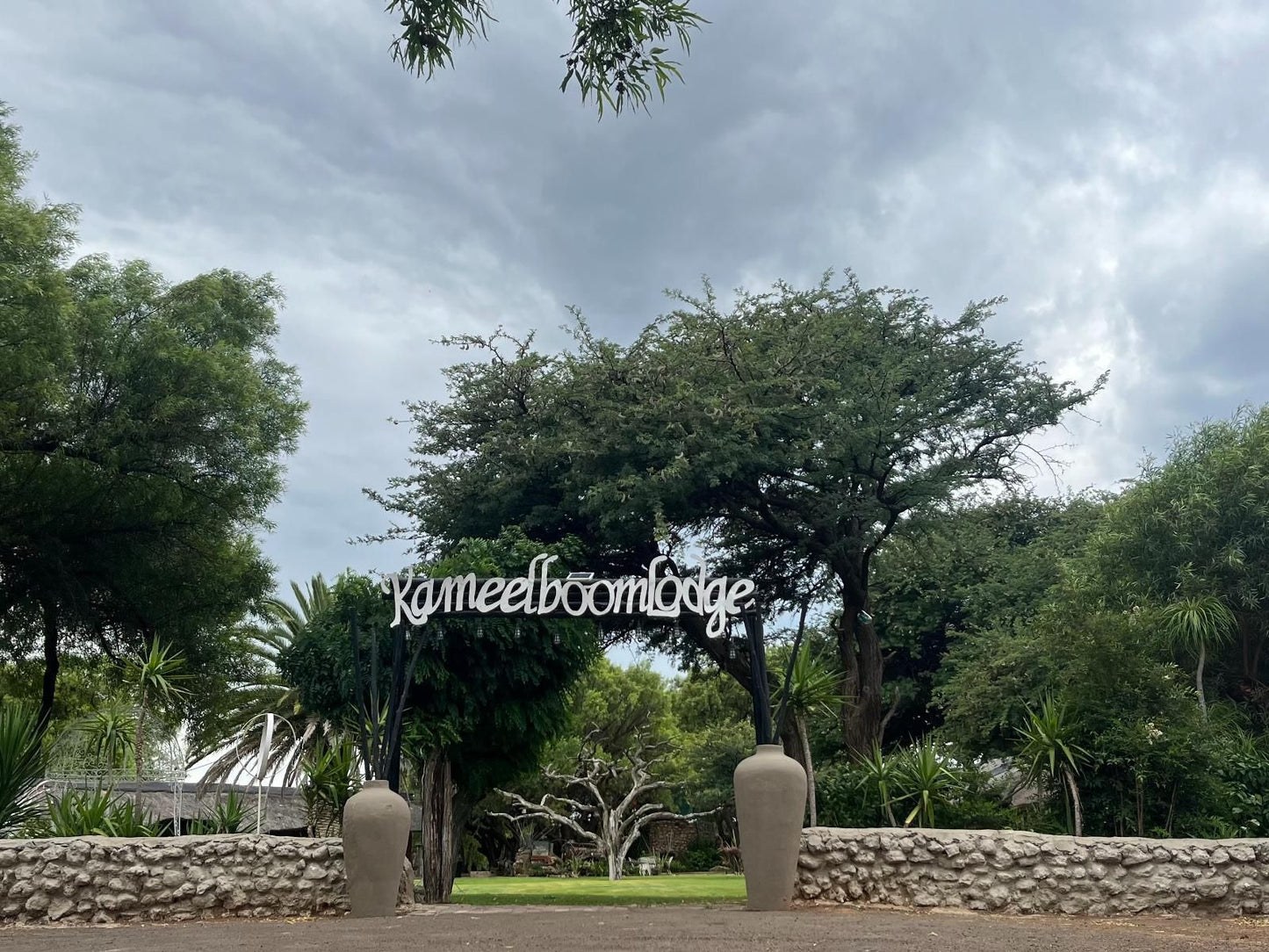 Kameelboom Lodge Vryburg North West Province South Africa Palm Tree, Plant, Nature, Wood