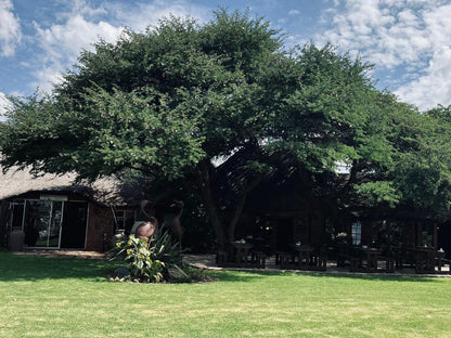 Kameelboom Lodge Vryburg North West Province South Africa House, Building, Architecture, Plant, Nature, Tree, Wood