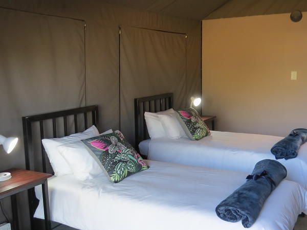 Kameeldoring Camping Augrabies Northern Cape South Africa Bedroom