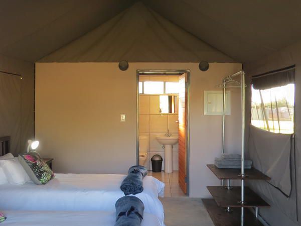 Kameeldoring Camping Augrabies Northern Cape South Africa Tent, Architecture, Bedroom