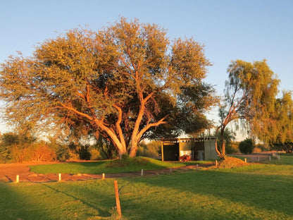 Kameeldoring Camping Augrabies Northern Cape South Africa Complementary Colors, Colorful