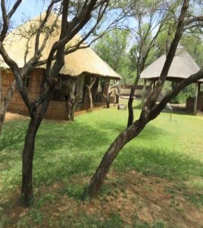 Kameelhoek Game Ranch Northam Limpopo Province South Africa Tree, Plant, Nature, Wood