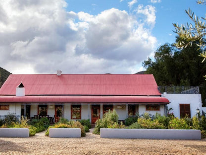 Kamerkloof Baviaanskloof Eastern Cape South Africa Complementary Colors