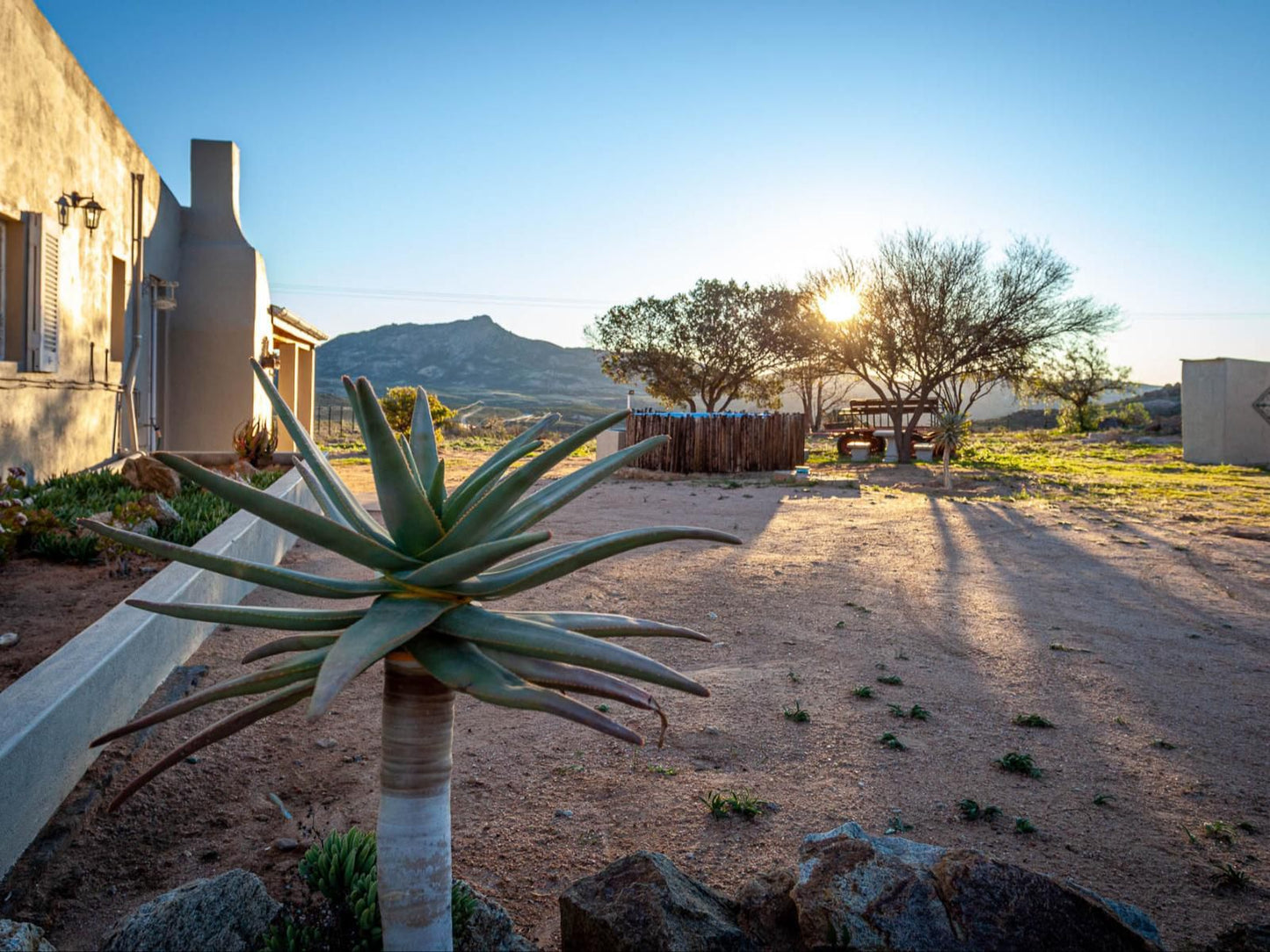 Kamieskroon Cosy Cottages Kamieskroon Northern Cape South Africa Cactus, Plant, Nature, Desert, Sand, Framing