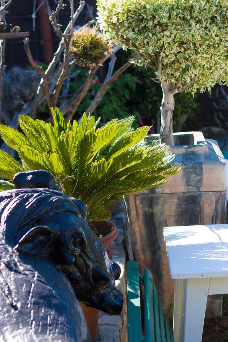 Kamudsi Fish Hoek Cape Town Western Cape South Africa Palm Tree, Plant, Nature, Wood