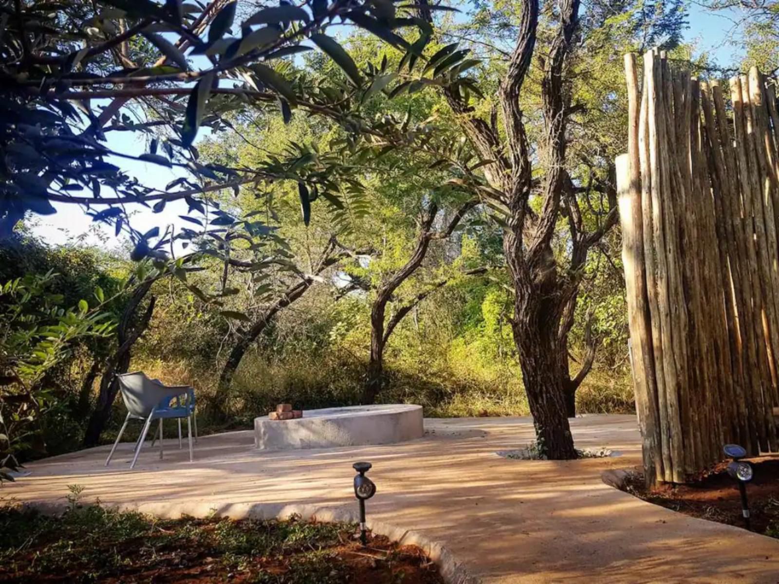Kanimambo Main Lodge Marloth Park Mpumalanga South Africa Palm Tree, Plant, Nature, Wood, Tree