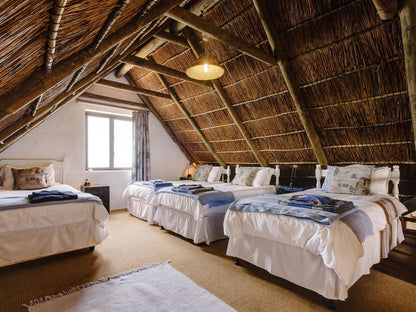 Kanon Private Nature Reserve Vleesbaai Western Cape South Africa Bedroom