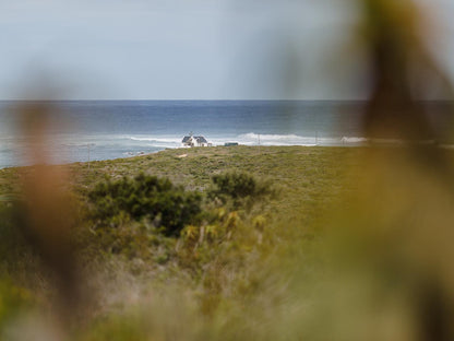 Kanon Private Nature Reserve Vleesbaai Western Cape South Africa Beach, Nature, Sand