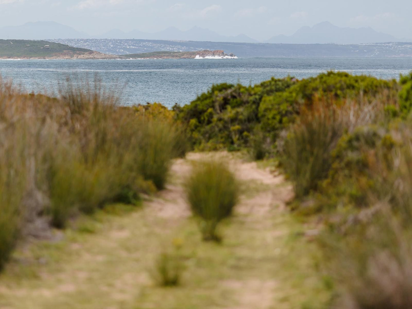 Kanon Private Nature Reserve Vleesbaai Western Cape South Africa Beach, Nature, Sand