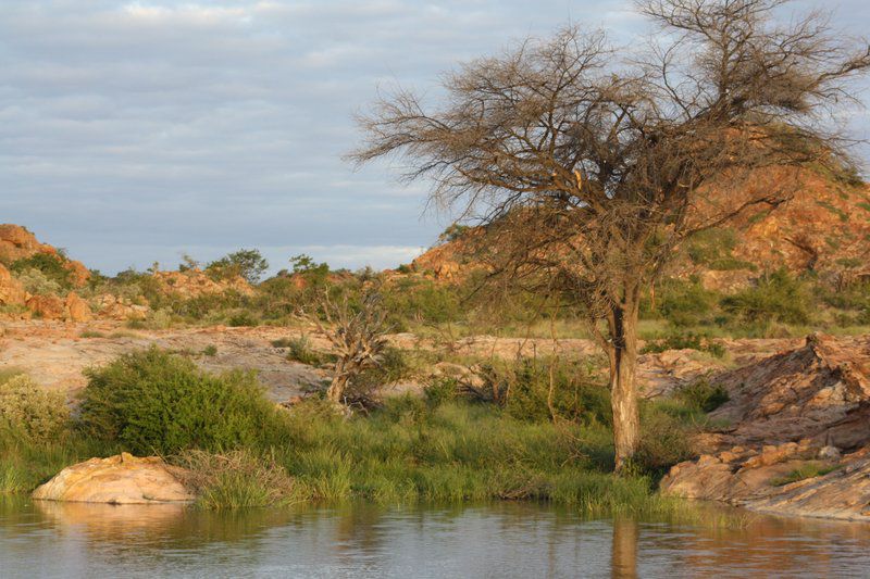 Kaoxa Bush Camp Mapungubwe Region Limpopo Province South Africa River, Nature, Waters, Desert, Sand