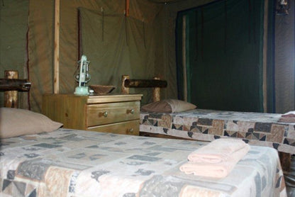 Kaoxa Bush Camp Mapungubwe Region Limpopo Province South Africa Tent, Architecture, Bedroom