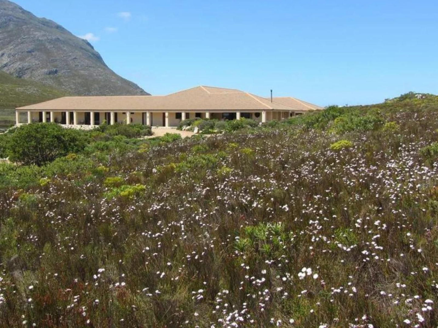 Kapensis Guesthouse Pringle Bay Western Cape South Africa Complementary Colors, Plant, Nature
