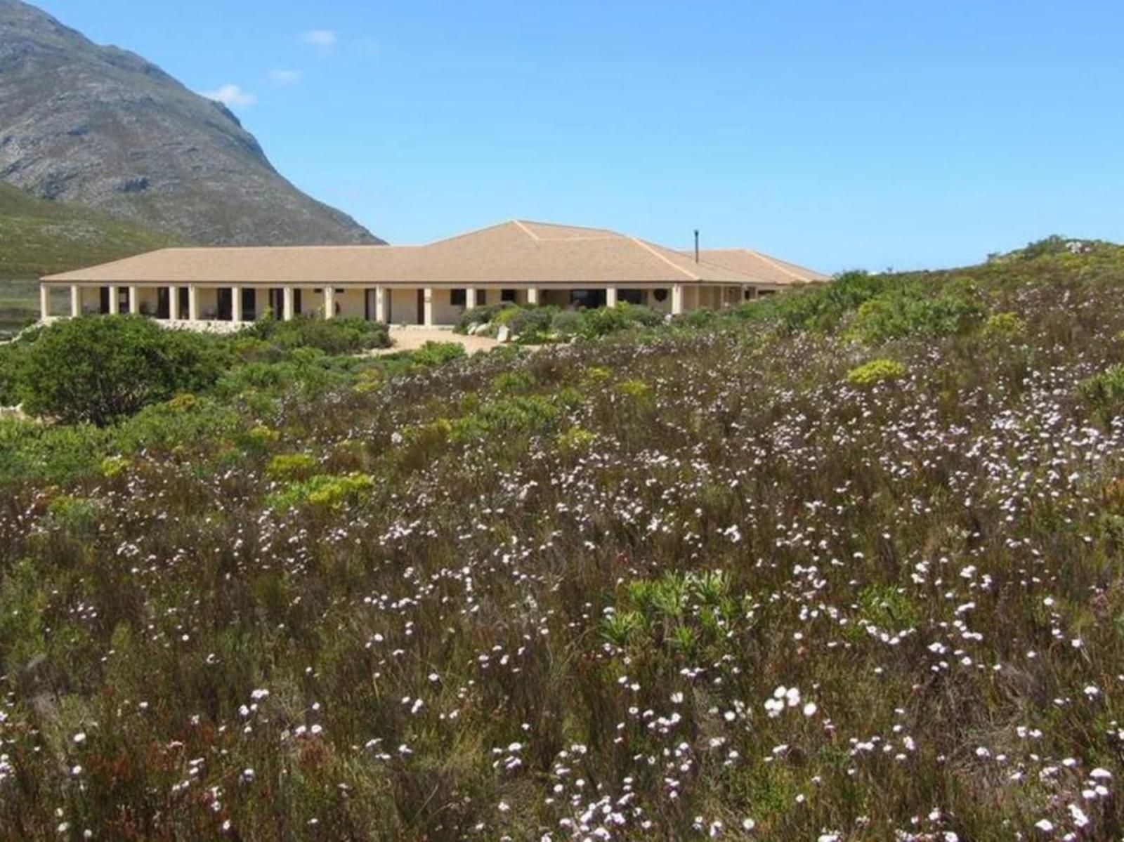 Kapensis Guesthouse Pringle Bay Western Cape South Africa Complementary Colors, Plant, Nature