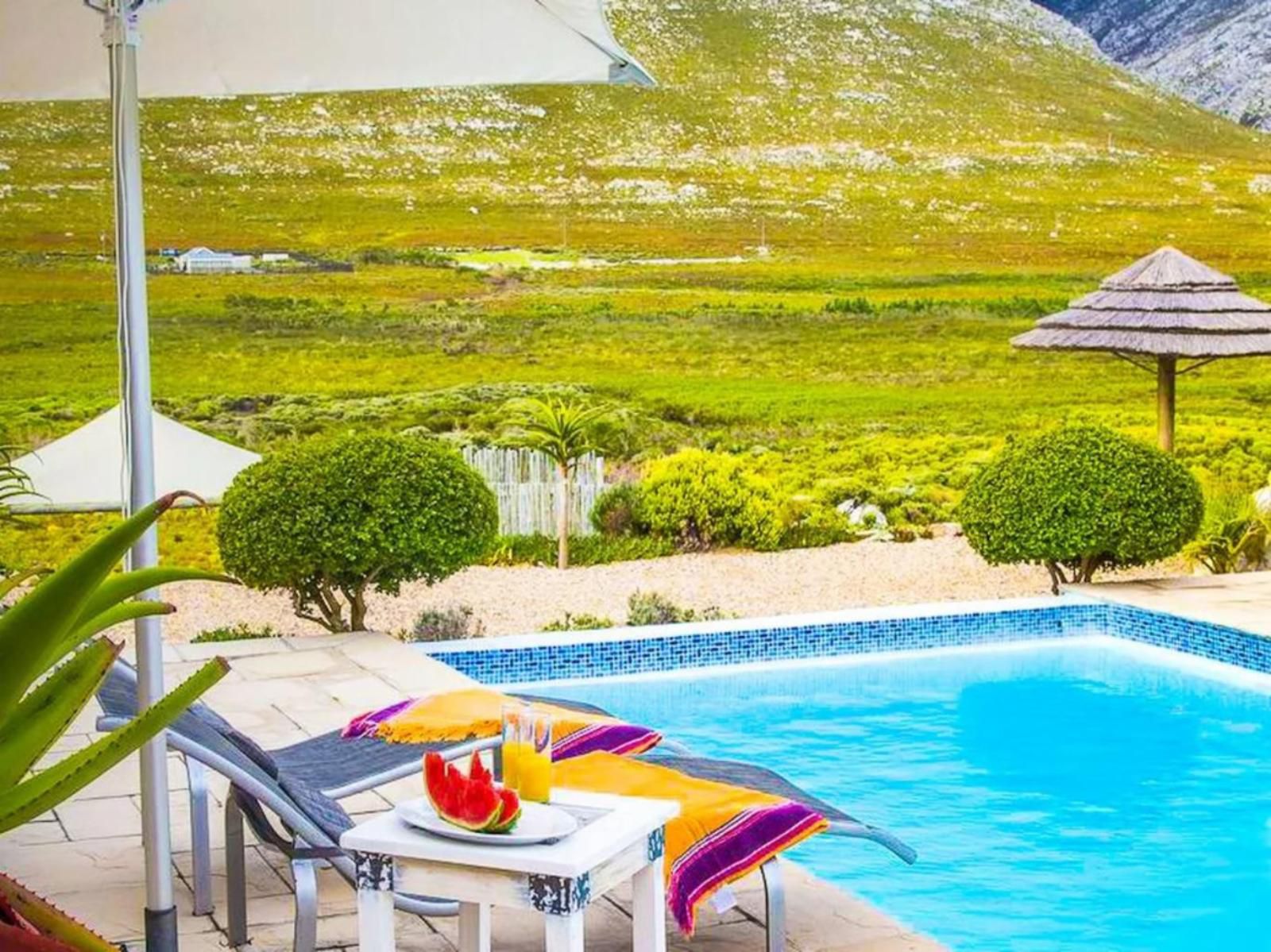 Kapensis Guesthouse Pringle Bay Western Cape South Africa Complementary Colors, Swimming Pool