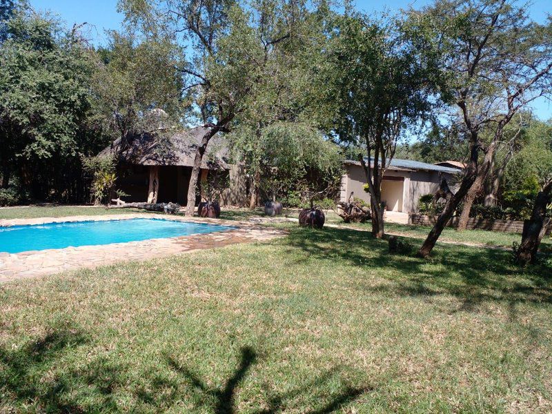 Leydsdorp Hotel Kapiri Hills Gravelotte Limpopo Province South Africa Swimming Pool