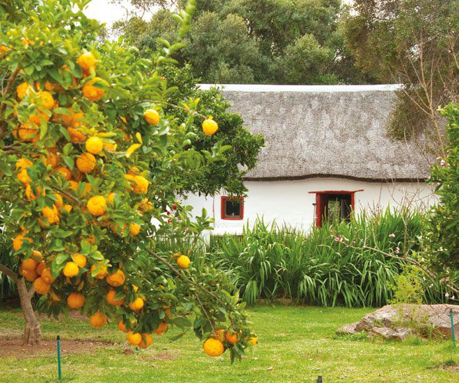 Kapteinskloof Guest House Piketberg Western Cape South Africa Orange, Fruit, Food