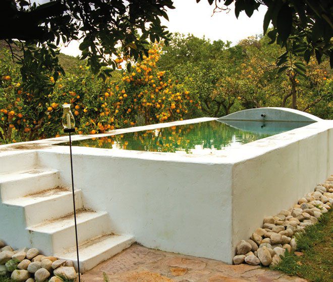 Kapteinskloof Guest House Piketberg Western Cape South Africa Garden, Nature, Plant, Swimming Pool